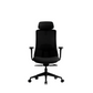 Chaise de bureau ergonomique